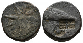 (Bronze.10.42g 19mm) PONTOS, Uncertain, Time of Mithradates VI (Circa 130-100 BC)