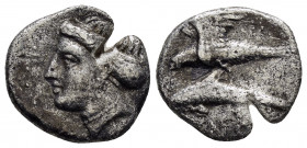 PAPHLAGONIA. Sinope.(Circa 330-300 BC).Drachm.

Obv : Head of nymph left, with hair in sakkos.

Rev : AΓPEΩΣ ΣINΩ.
Sea-eagle standing left, with wings...