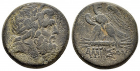 PONTUS. Amisos.Time of Mithradates VI Eupator.(Circa 111-105 or 95-90 BC).Ae.

Obv : Laureate head of Zeus right.

Rev : AMIΣOY.
Eagle standing l...