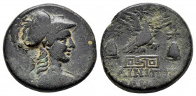 PHRYGIA. Apameia.(Circa 88-40 BC).Ae.

Obv : Helmeted bust of Athena right.

Rev : AΠΑΜΕΩN ΦAINIΠΠOY ΔPAKONTOΣ.
Eagle alighting right on maeander patt...