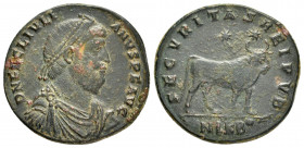 JULIAN II APOSTATA.(361-363).Nicomedia.Double Maiorina. 

Obv : D N FL CL IVLIANVS P F AVG.
Diademed and draped bust right, wearing tiara.

Rev : SECV...