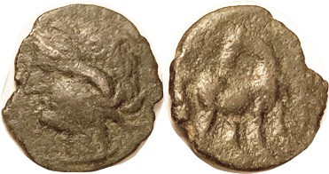 CARTHAGE, Æ20, 3rd cent BC, Tanit head l./Horse stg r, head l.; F+, centered on ...