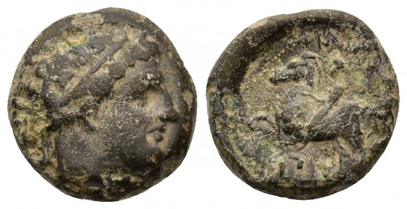 Kings of Macedon, Philip II (359-336 BC). Uncertain Macedonian mint. Diademed he...