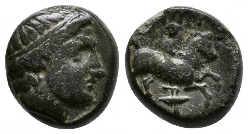 Kings of Macedon, Philip II (359-336 BC). Uncertain Macedonian mint. Diademed he...