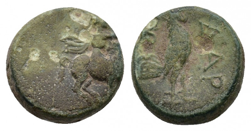 TROAS. Dardanos. Ae (400-300 BC). Obv: Warrior riding horse right. Rev: ΔΑΡ. Coc...