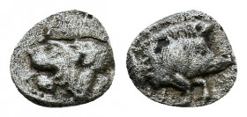 MYSIA. Kyzikos. Hemiobol (450-400 BC). Obv: Forepart of boar right, tunny behind. Rev: Head of lion left; retrograde K to upper left; all within incus...
