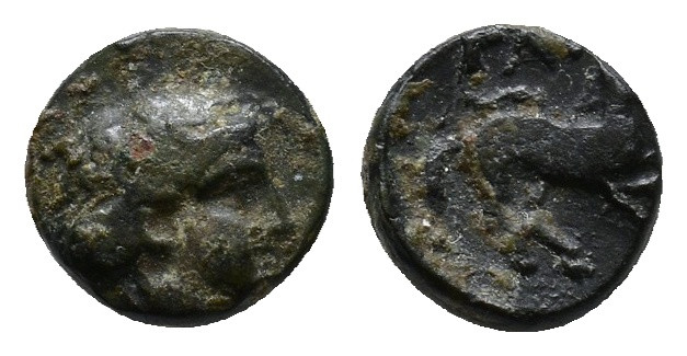 Uncertain greek coin. Head of Apollo to right / Horse? To right AE 0.73g