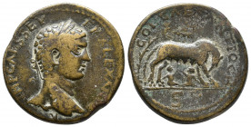 PISIDIA. Antiochia. Severus Alexander, 222-235. IMP CAES SEVERVS ALEXANDER Laureate head of Severus Alexander to right. Rev. COL CAES ANTIOCH / S R Sh...