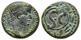 Syria, Seleucis and Pieria. Antiochia ad Orontem. Tiberius. A.D. 14-37. Struck A.D. 31-32. TI CAESAR AVG TR POT XXXIII, laureate head right / ·S·C, le...