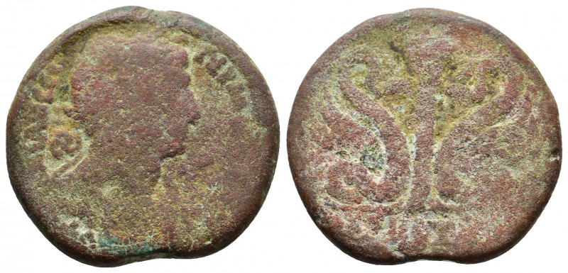 EGYPT, Alexandria. Trajan 98-117. Obverse: ΑΥΤ ΤΡΑΙΑΝ ϹƐΒ ΓƐΡΜ ΔΑΚΙΚ; laureate b...