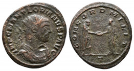 Florian (A.D. 276) Antoninian, Ae, A.D. 276 , Ticinum mint. IMP C M AN FLORIANVS P AVG, radiate, draped bust of Florian right. Rv: CONCORD MILIT, T in...