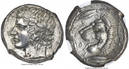 SICILY. Leontini. Ca. 450-420 BC. AR tetradrachm (24mm, 17.27 gm, 8h). NGC MS 5/5 - 3/5. Laureate head of Apollo left / LEO-N-TI-N-ON, head of lion le...