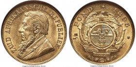 Republic gold 1/2 Pond 1895 MS62 NGC, Pretoria mint, KM9.2, Fr-3. A popular early type, showing scintillating cartwheel luster across the velveteen su...