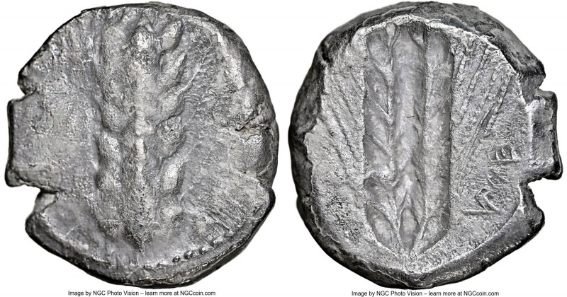 LUCANIA. Metapontum. Ca. 470-440 BC. AR stater (18mm, 7.83 gm, 1h). NGC (photo-c...
