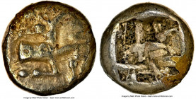 IONIA. Ephesus. Phanes (c.625-600 BC). EL 1/24 stater (7mm, 0.57 gm). NGC XF 5/5 - 3/5 scuff. Forepart of stag with patterned fur right, head reverted...