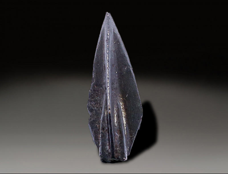 Ancient Weapon, Holy Land Ancient, 100A.D.- 800 A.D.
Height: 3 cm