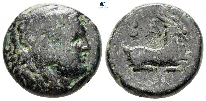 Kings of Macedon. Uncertain mint. Philip V 221-179 BC. 
Bronze Æ

20 mm, 8,30...