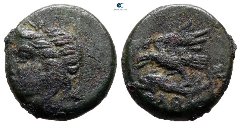 Scythia. Olbia circa 380-315 BC. 
Bronze Æ

15 mm, 2,68 g



nearly very ...