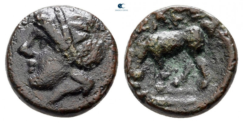 Troas. Alexandreia circa 300-100 BC. 
Bronze Æ

11 mm, 1,09 g



very fin...