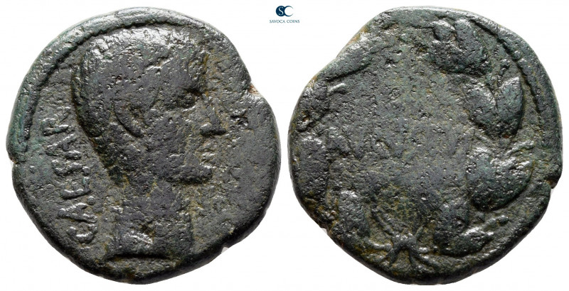 Asia Minor. Uncertain mint. Augustus 27 BC-AD 14. 
Bronze Æ

23 mm, 8,64 g
...