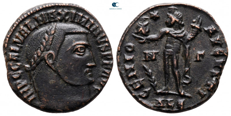 Maximinus II Daia AD 310-313. Alexandria
Follis Æ

20 mm, 4,35 g



very ...