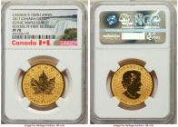 Elizabeth II gold Reverse Proof "Canadian Confederation - 150th Anniversary" 200 Dollars (1 oz) 2017 PR70 NGC, Royal Canadian mint, KM-Unl. Mintage: 5...