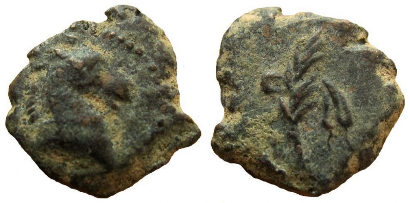 Pontos. AE 12 mm. Uncertain mint. 

Weight: 2.43 gm. Obverse: Head of horse ri...