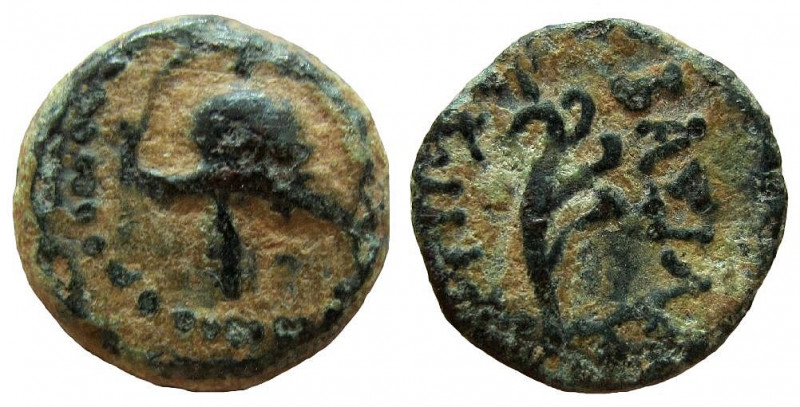 Seleukid Kingdom. Antiochos VII Euergetes, 138-129 BC. AE 12 mm. Ascalon mint. ...