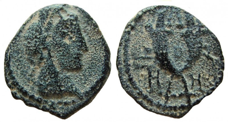 Nabataean Kingdom. Aretas IV, 9 BC-40 AD. AE 13 mm. Petra mint. 

Weight: 1.72...