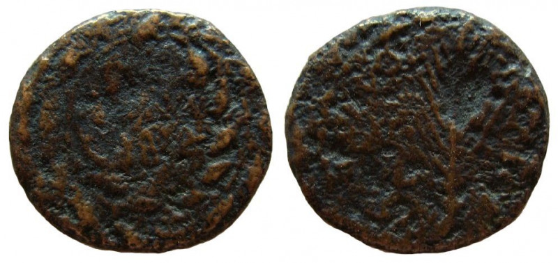 Judaea. Pre-Royal Coins of Agrippa II. AE 20 mm. Tiberias mint. 

Weight: 5.94...