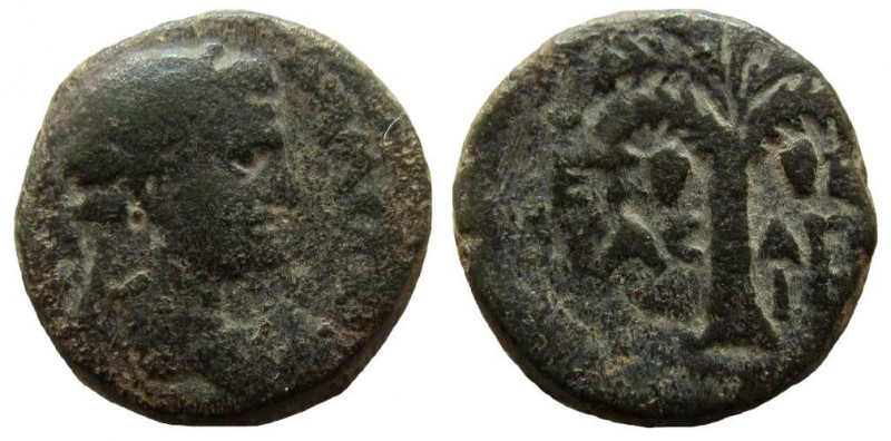 Judaea. Agrippa II, 55-95 AD. AE 15 mm. Caesarea Maritima mint. 

Weight: 2.87...