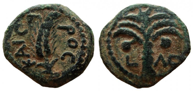 Judaea. Procurators. Coponius, 6-9 AD. AE Prutah. 

16 mm. Weight: 1.78 gm. Da...