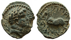 Decapolis. Antiochia ad Hippum. Domitian, 81-96 AD. AE 16 mm.