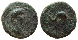 Phoenicia. Berytus. Augustus, 27 BC-14 AD. AE 19 mm.