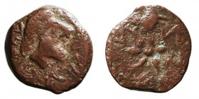 MONEDAS ANTIGUAS
NORTE DE ÁFRICA
Semes. AE-15. A/Busto barbado a der., debajo ley. R/Estrella, meandro, espiga y racimo. 2,83 g. MA.114. BC.