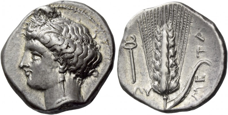 Metapontum. Nomos circa 340-330 BC, AR 7.83 g. Head of Demeter l., hair tucked u...