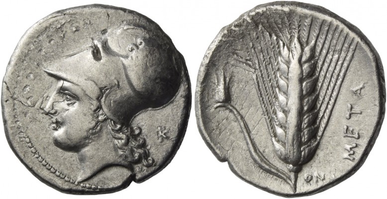 Metapontum. Nomos circa 340-330 BC, AR 7.49g. Head of Athena Tharragoras l., wea...