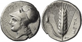 Metapontum. Nomos circa 340-330 BC, AR 7.49g. Head of Athena Tharragoras l., wearing Corinthian helmet. Rev. Ear of barley with leaf to l. upon which ...