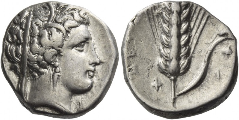 Metapontum. Nomos circa 340-330 BC, AR 7.64 g. Veiled head of Demeter r., wearin...