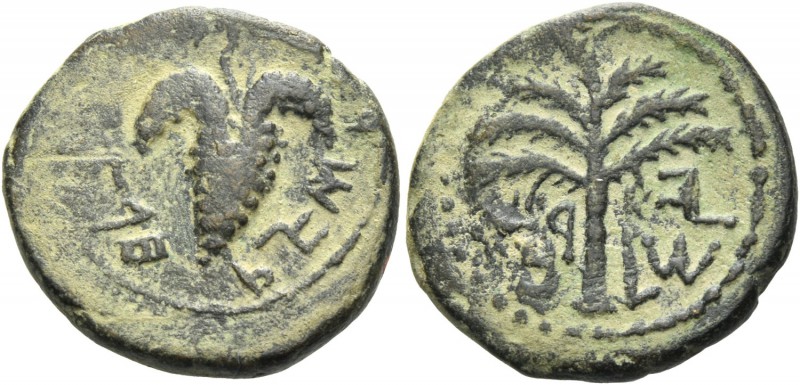 The Bar Kokhba War. Small bronze, Judah 133-134 (year 2), Æ 6.09 g. Palm tree wi...