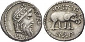 Q. Caecilius Metellus Pius Scipio. Denarius, Africa 47-46, AR 3.84 g. Q·METEL Laureate head of Jupiter r.; below, PIVS. Rev. SCIPIO Elephant r.; in ex...