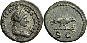 Domitian augustus, 81 – 96. Semis 85, Æ 4.39 g. Draped bust of Apollo r. Rev. Raven perched r. on branch. C 526. RIC 314. Dark green patina and very f...