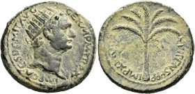 Domitian augustus, 81 – 96. Judea, Roman Administration under Domitian. Bronze, Caesarea Maritima 92-93, Æ 14.10 g. Radiate head r. Rev. Palm tree. C ...