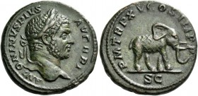 Caracalla, 198 – 217. As 212, Æ 11.56 g. Laureate head r. Rev. Elephant advancing r. C 210. RIC 495. A bold portrait struck in high relief, green pati...