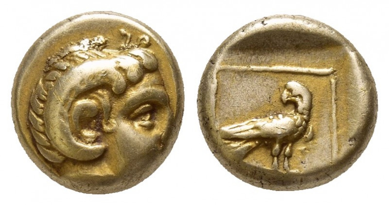 LESBOS Hecte, electrum, about 330 BC. EL (10mm, 2.6 g). Head of Apollo Karneios ...