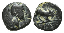 Greek AE (10mm, 1.3 g) Male head right / Bull butting right