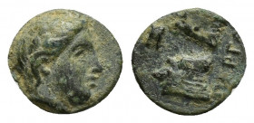 Greek Coin Ae (8mm, 0.4 g)