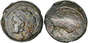 GAULE TRANSALPINE, Massalia, AE bronze lourd, 220-215 av. J.-C. D/ T. l. d''Apollon à g., les cheveux longs tombant dans la nuque. A d., corne d''abon...