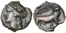 GAULE TRANSALPINE, Massalia, AE petit bronze au taureau passant, 80-50 av. J.-C. D/ T. l. d''Apollon à g. De part et d''autre du cou, K-K. R/ Taureau ...