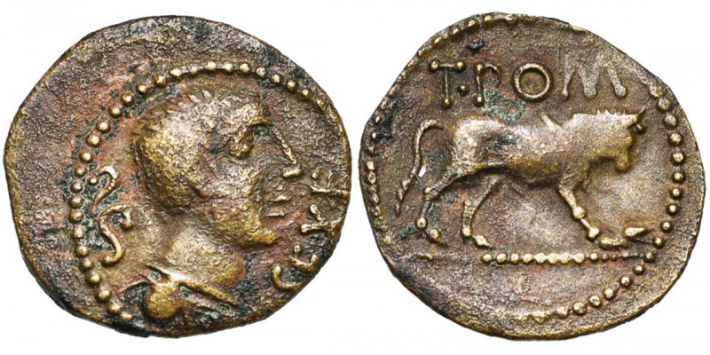 GAULE NARBONNAISE, Languedoc oriental, AE bronze, fin du 1er s. av. J.-C. D/ B. ...